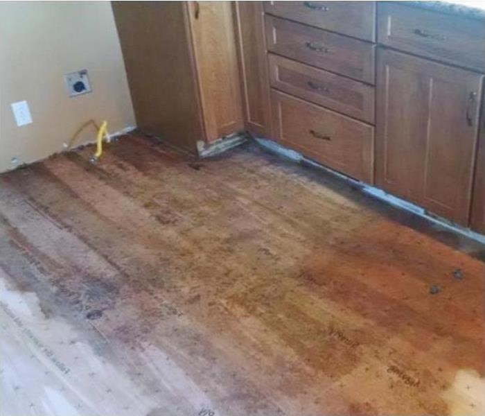 kitchen, appliance removed, wood floor 