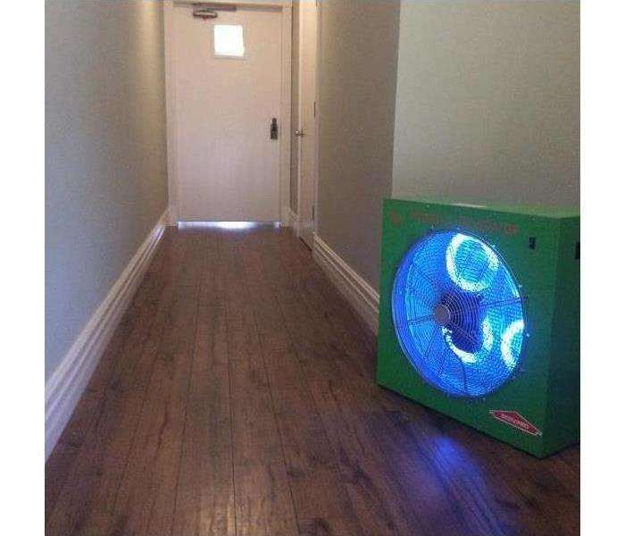 hydroxyl generator shining a blue light in a hallway