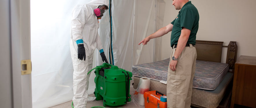 San Jose, CA mold removal process